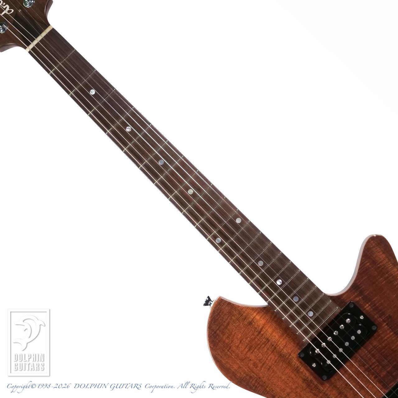 dragonfly Maroon FT 648 (Matte Natural)（中古）【楽器検索デジマート】