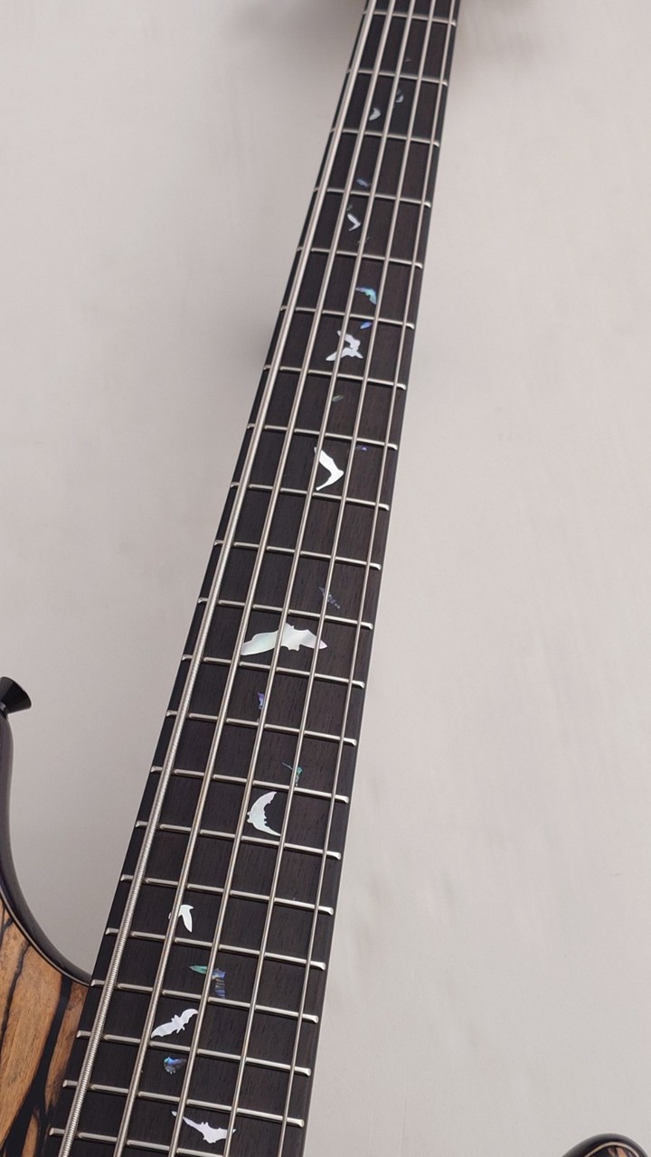 Sugi 【48回無金利】NB5E 2HH 432 Black&White Ebony Top/ASH【激杢