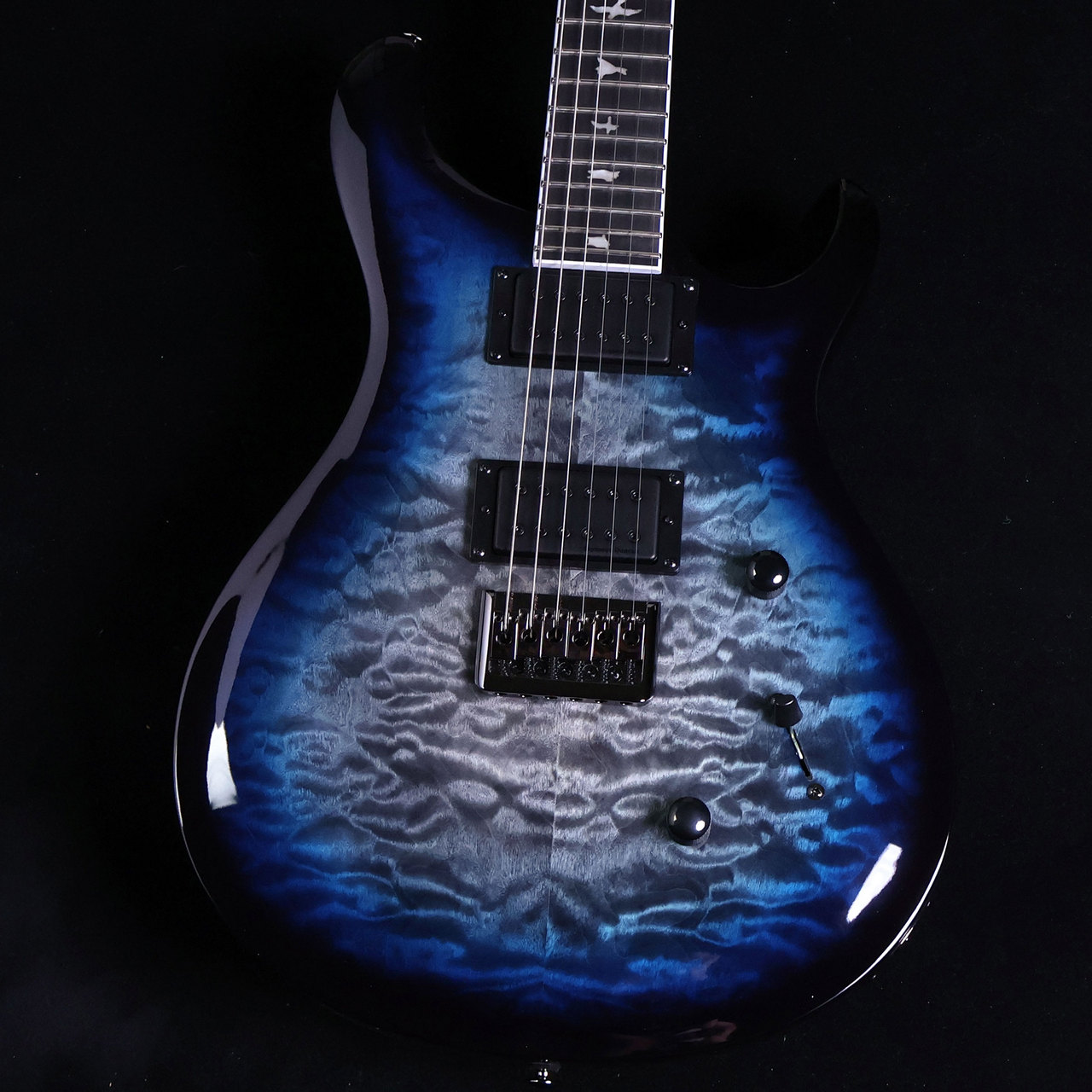 PRS SE Mark Holcomb 6弦仕様