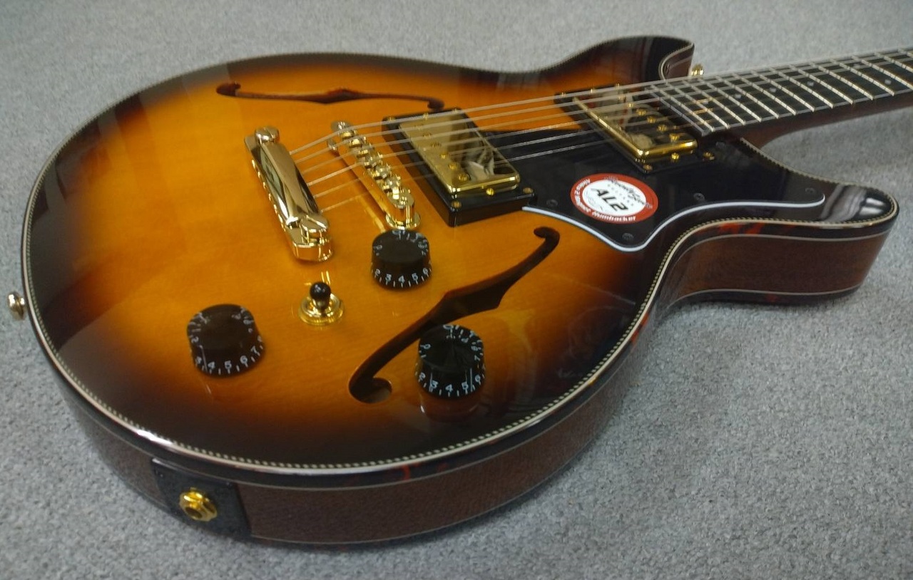 Seventy Seven Guitars ALBATROSS-JAZZ-JT SB(サンバースト
