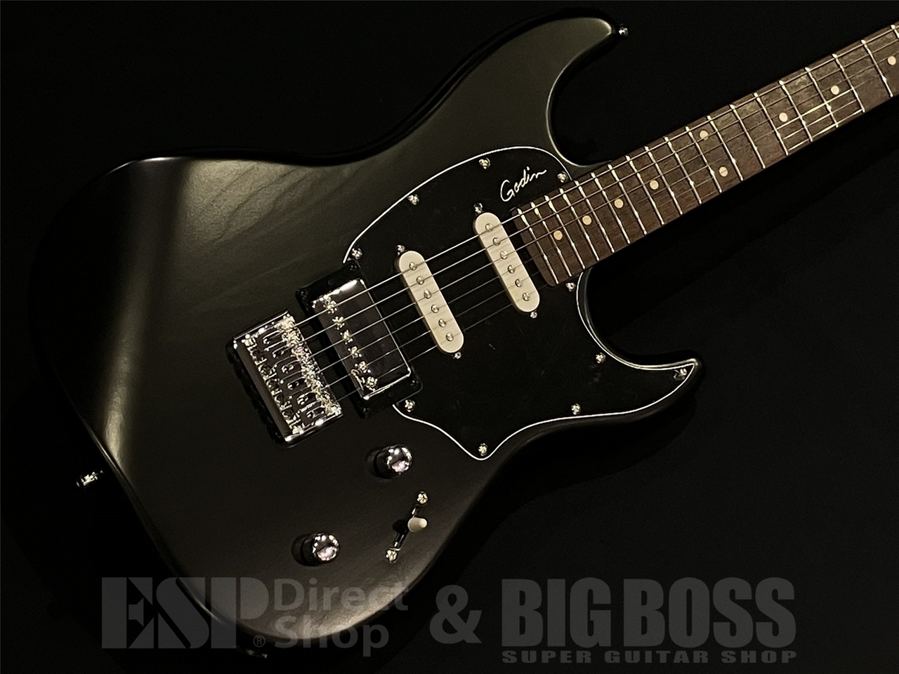 Godin Session HT RN / Matte Black（新品/送料無料）【楽器検索