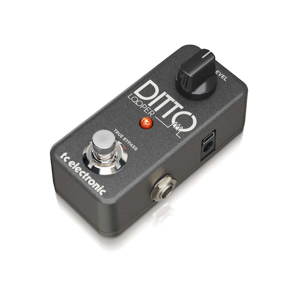 tc electronic DITTO LOOPER《ルーパー》【WEBショップ限定