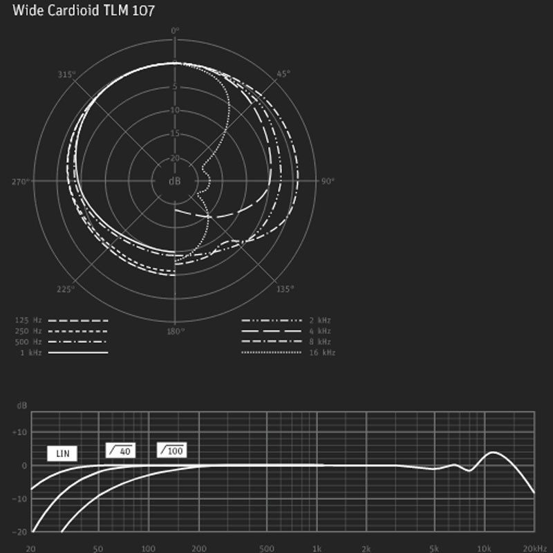 NEUMANN TLM107 Studio Set(国内正規品3年保証)(ノイマン)(TLM 107