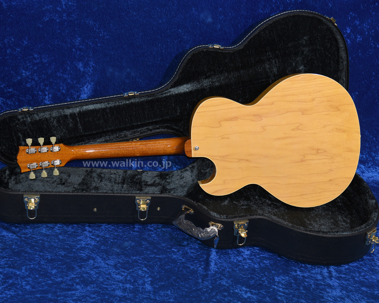 Archtop Tribute AT105M（新品）【楽器検索デジマート】