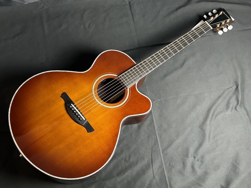 HISTORY NT-301/Ca（新品/送料無料）【楽器検索デジマート】