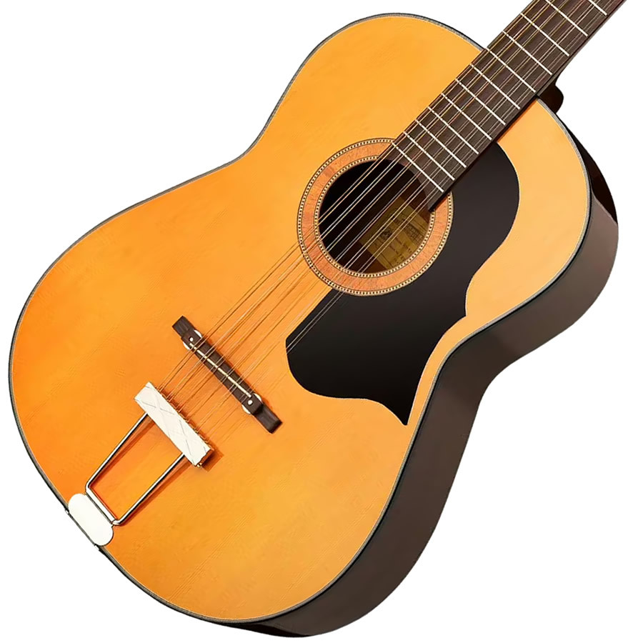 Framus Hootenanny 12-String (Vintage Tinted Nitro)（新品