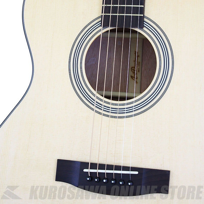 ARIA AF-201 N [Aria Dreadnought 200 series] アコースティックギター