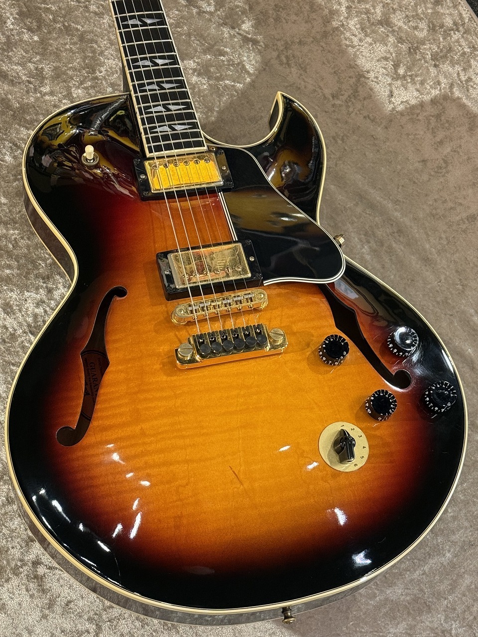 【中古】 Room 137 Curtis Guardian 33 Series Premier Deluxe Archtop Hardshell Guitar