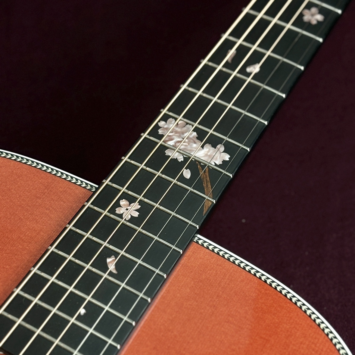 Headway HD-SHIKIZAKURA'25/STD 【現物画像】（新品/送料無料）【楽器