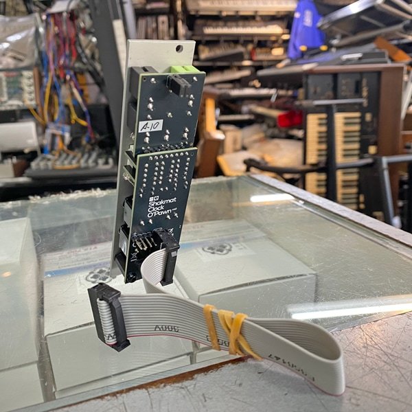 Shakmat Modular Clock O'Pawn MK2（中古）【楽器検索デジマート】