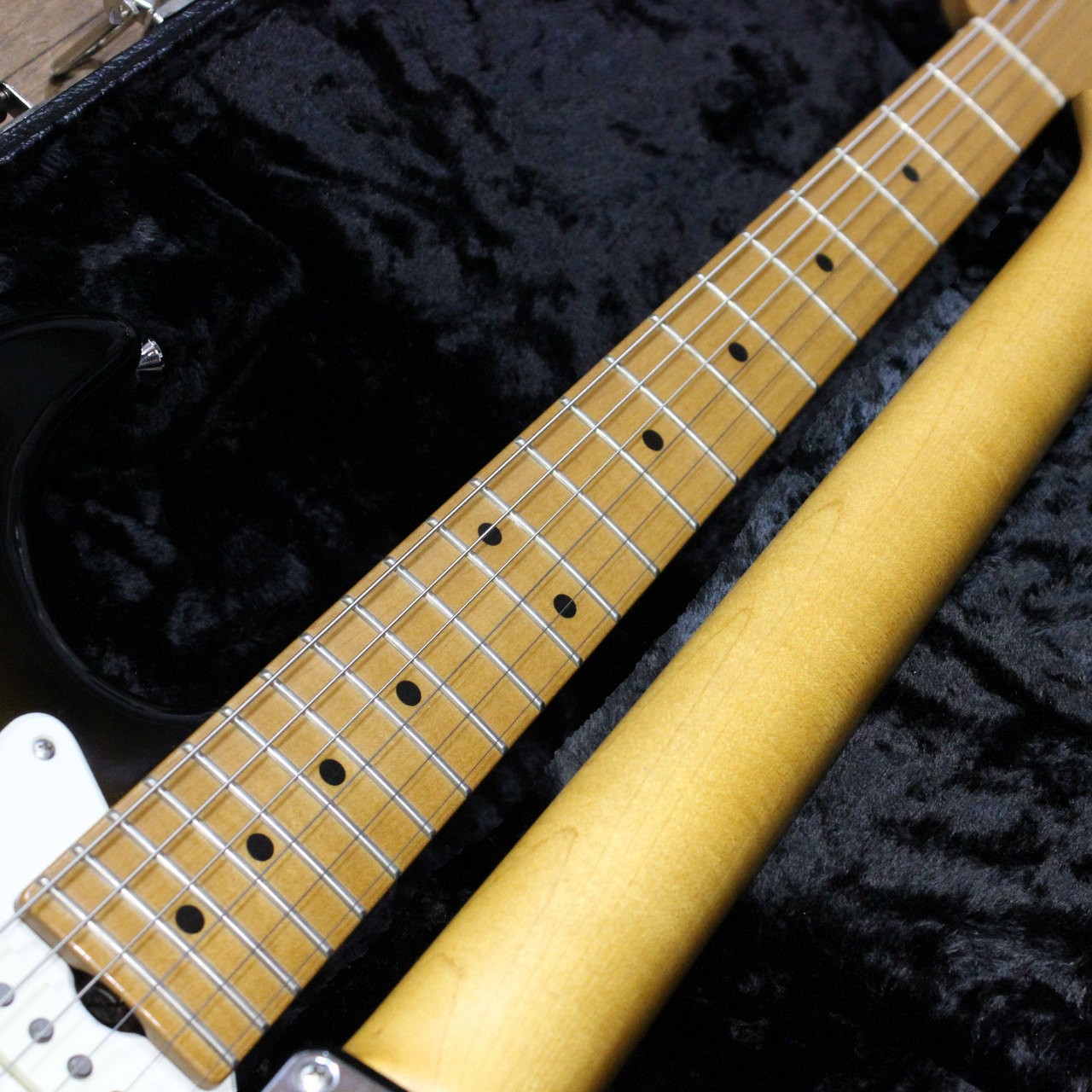Don Grosh Retro Classic ASH Maple ドン・グロッシュ レトロ