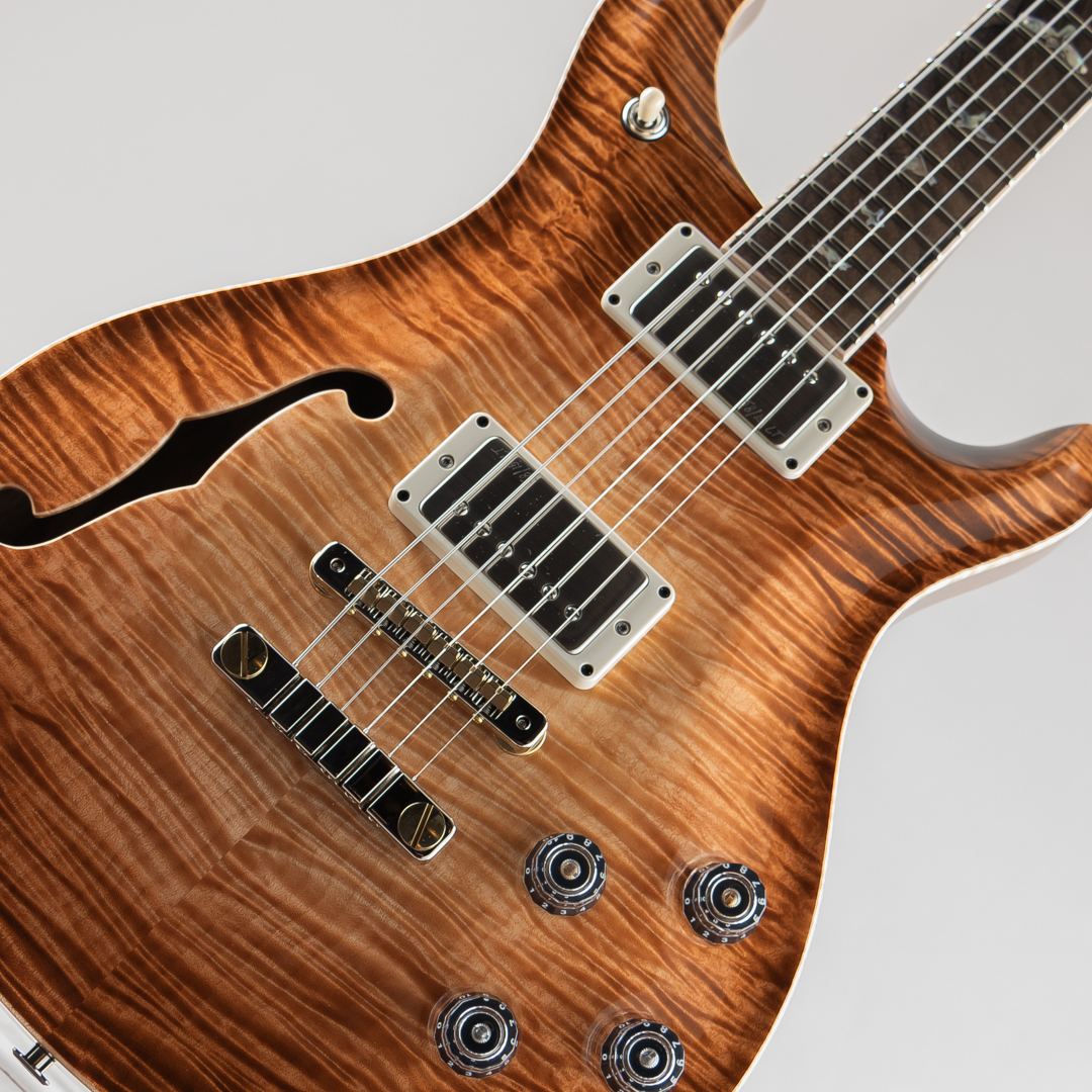 Paul Reed Smith(PRS) Private Stock # 11642 McCarty 594 Semi-hollow
