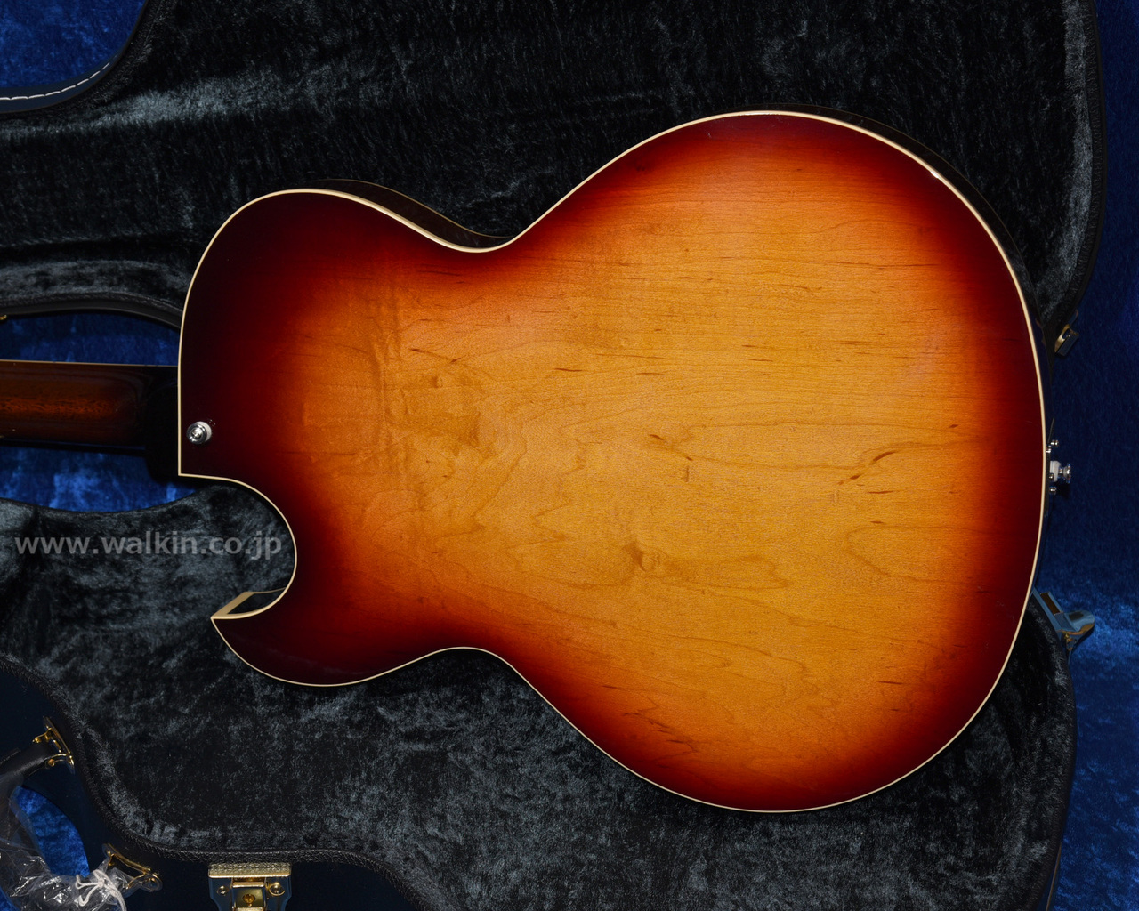 Archtop Tribute AT105M（新品）【楽器検索デジマート】