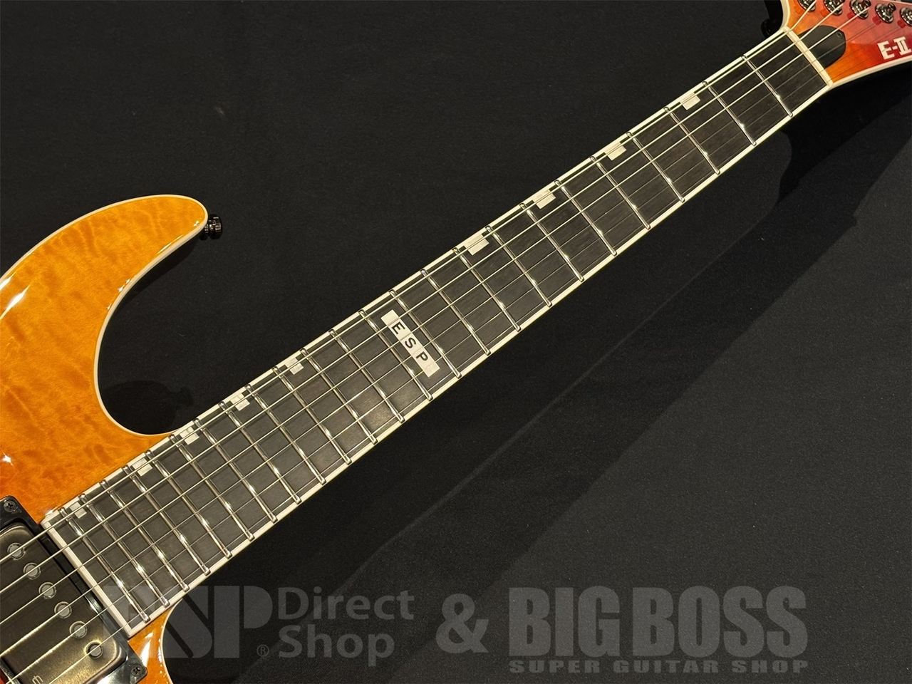 E-II HORIZON NT-II / Tiger Eye Amber Fade（新品/送料無料