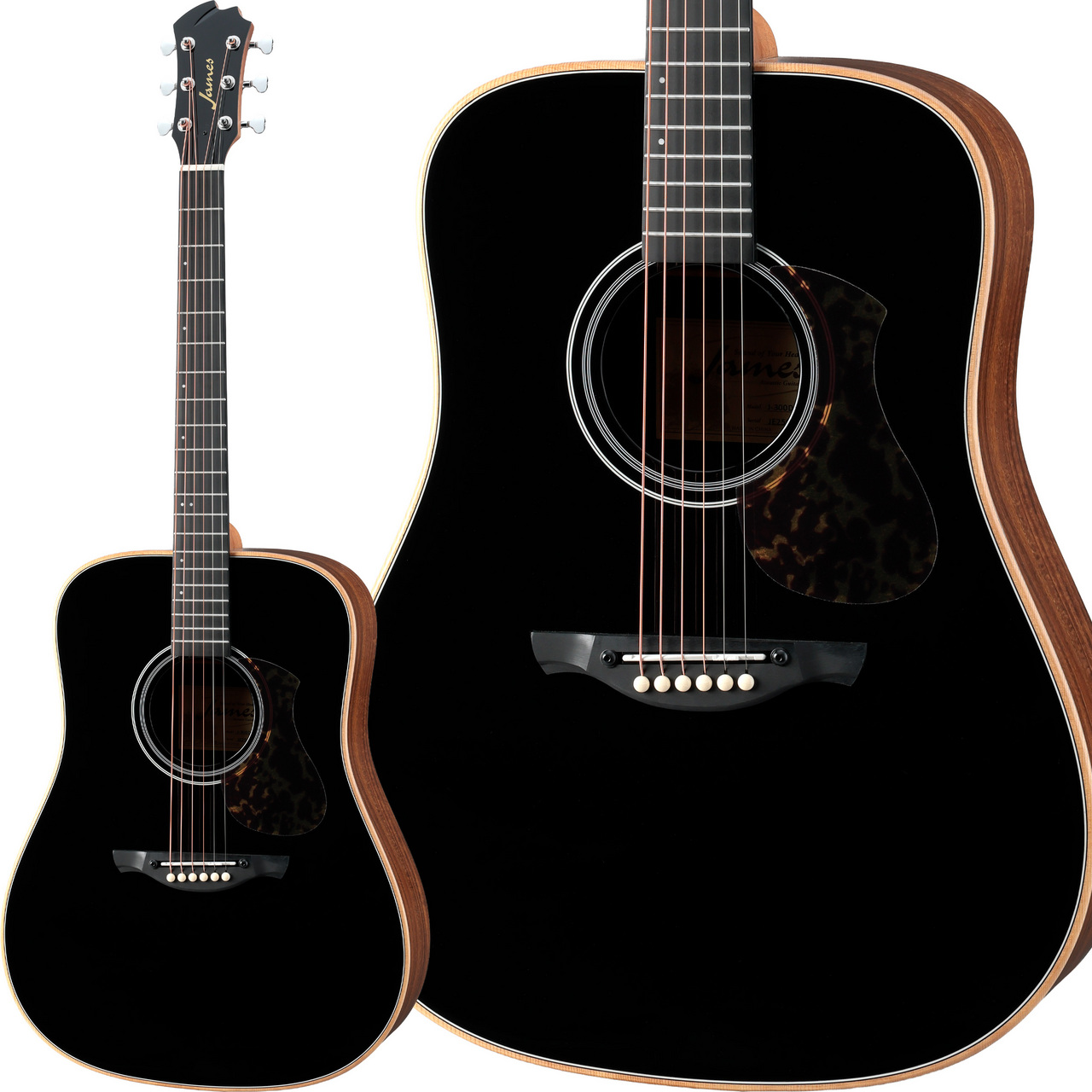 James J-300DII ブラック ドレッドノート 簡単弦高調整 トップ単板