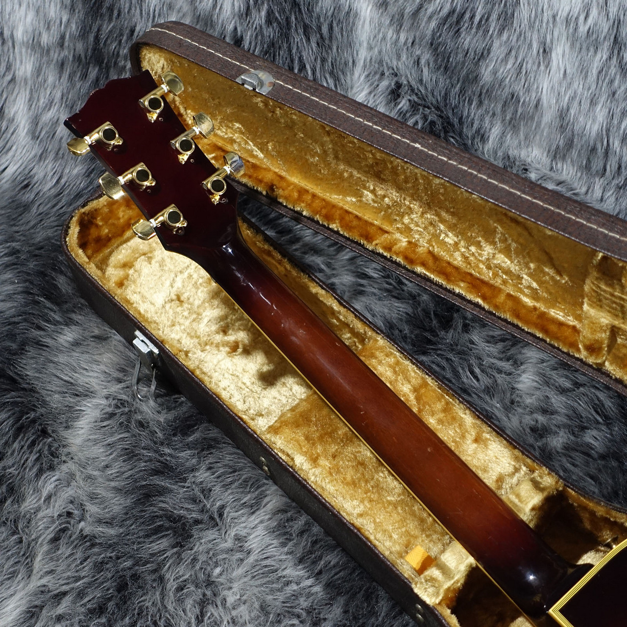 Navigator LesPaul CUSTOM オーダー品 Navigator LES PAUL CUSTOM ナビゲーター 【 そよら成田ニュー