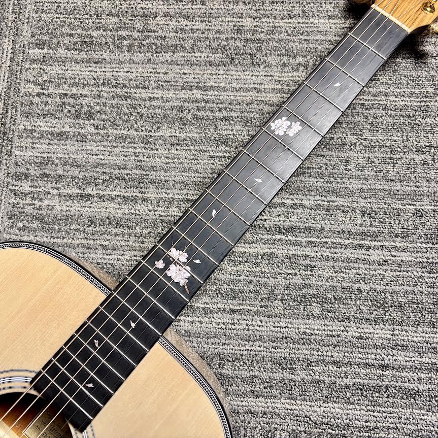 Headway HF-FYZKR24/STD Deviser One Day Guitar Show 2024限定モデル