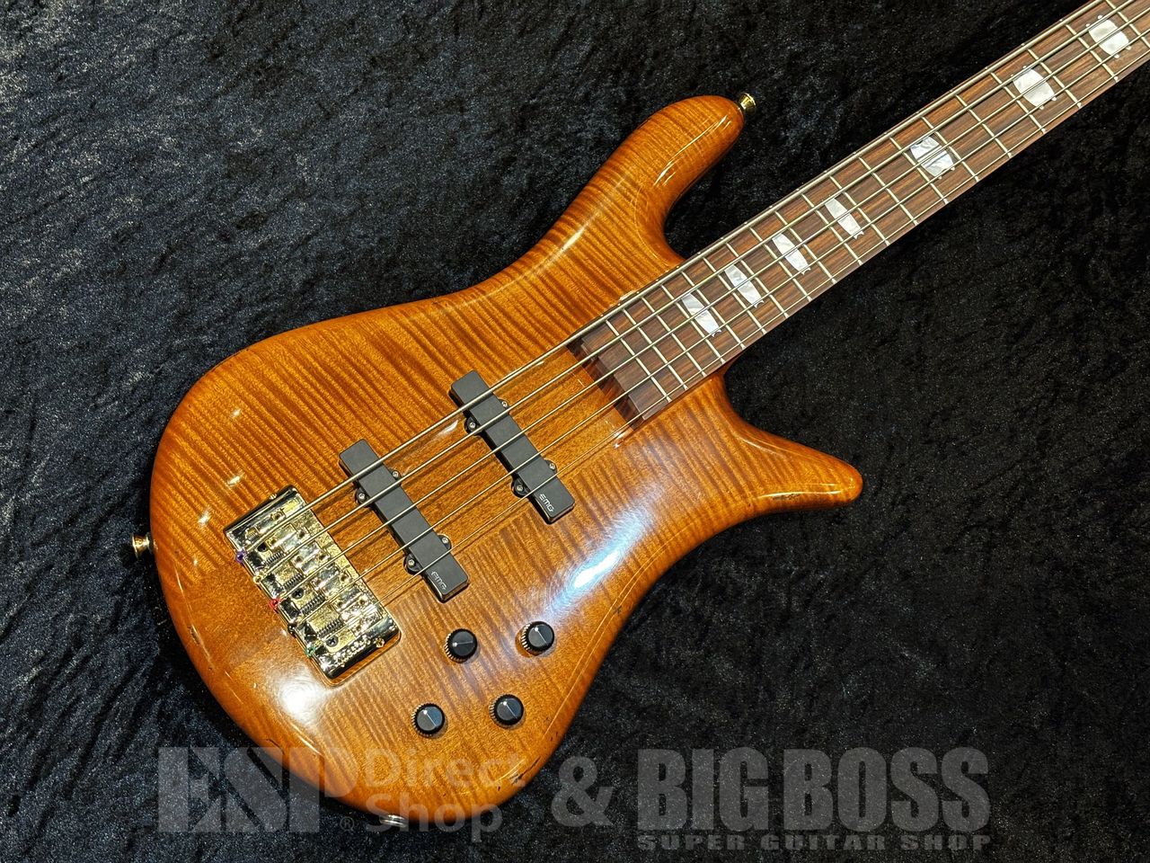 Spector Japan Exclusive Series EURO 5 LX Lacquer AGED【Tint