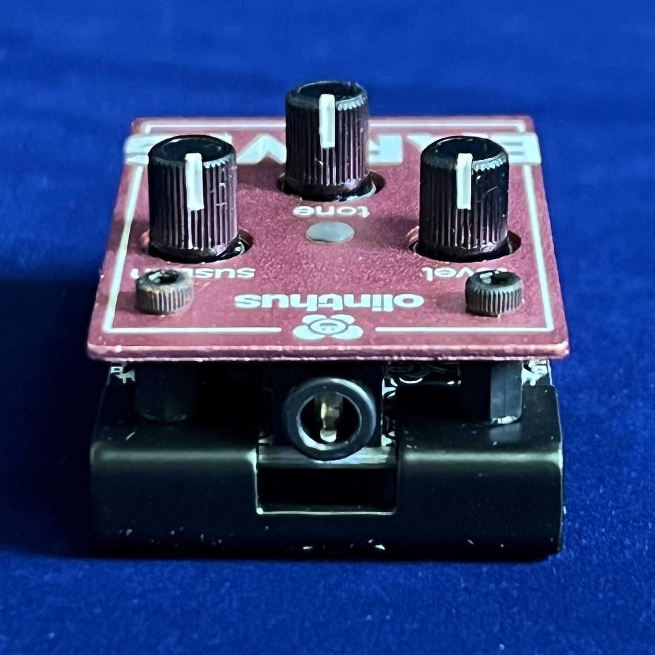 Olinthus EARWIG（新品）【楽器検索デジマート】