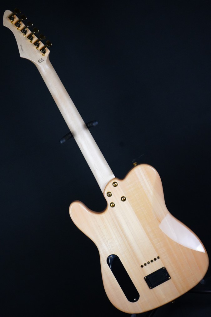 Aria Pro II TEG-780（新品）【楽器検索デジマート】