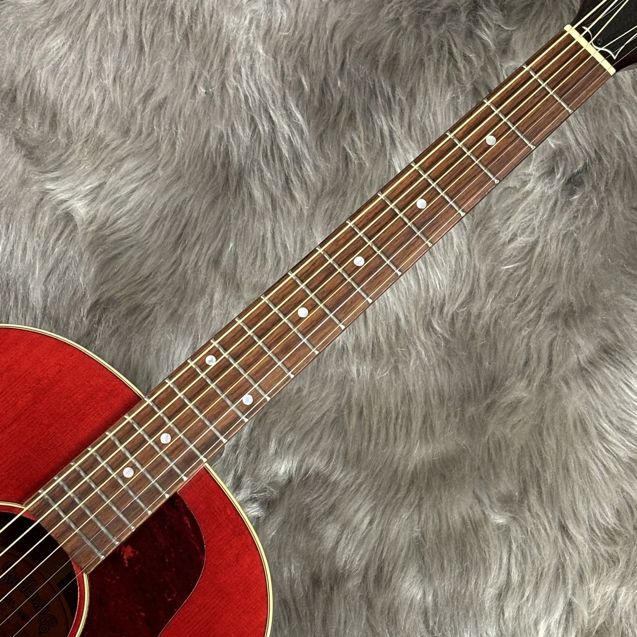 ギター Stafford SLG360 Stafford SLG360   '00s1.jpg