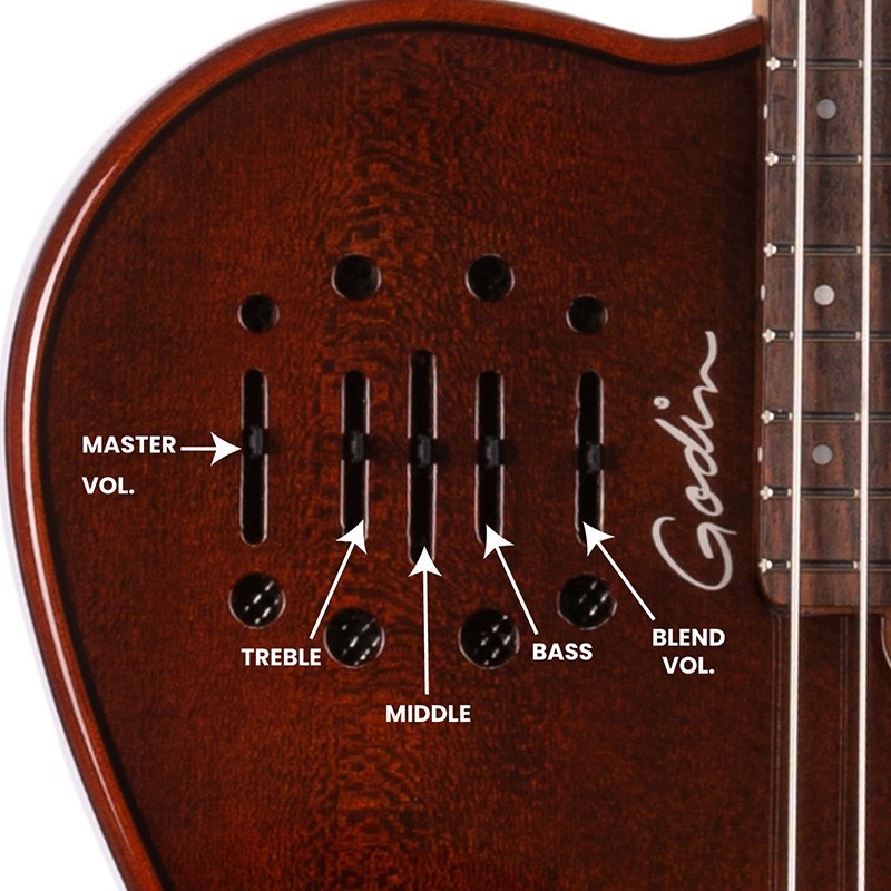 【超絶美品傷なし】Hawaiian Koa godin Amazon | Godin (ゴダン) xtSA エレキギター アコギ シンセ の3
