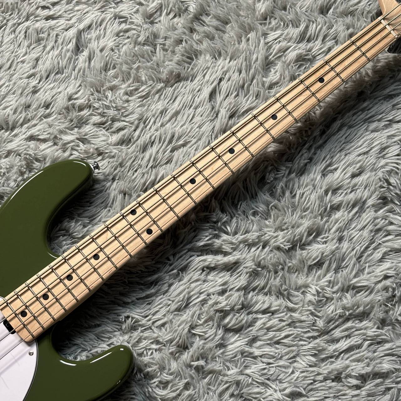 Sterling by MUSIC MAN 【実物写真】RAY4 Olive Gloss エレキベース