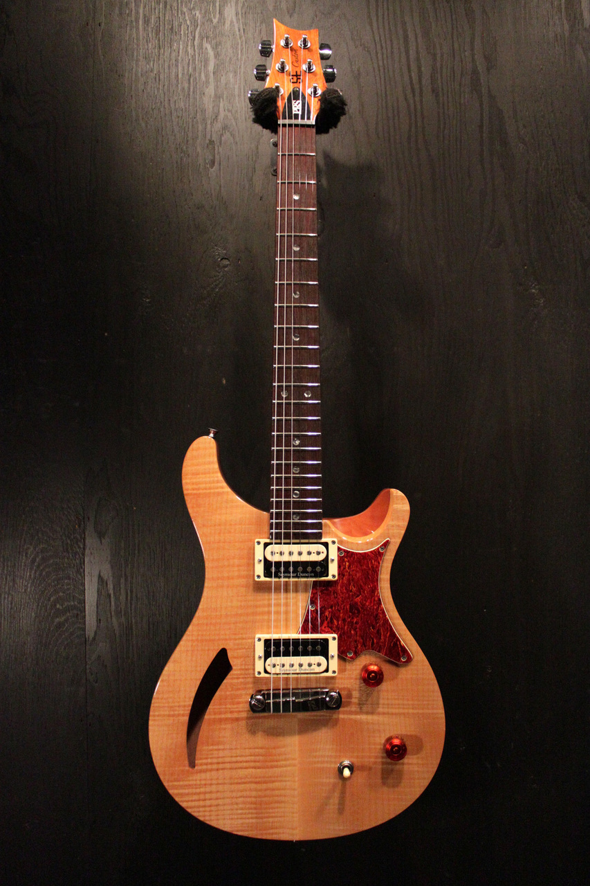 Paul Reed Smith(PRS) SE Custom 22 Semi Hollow 2010（中古）【楽器