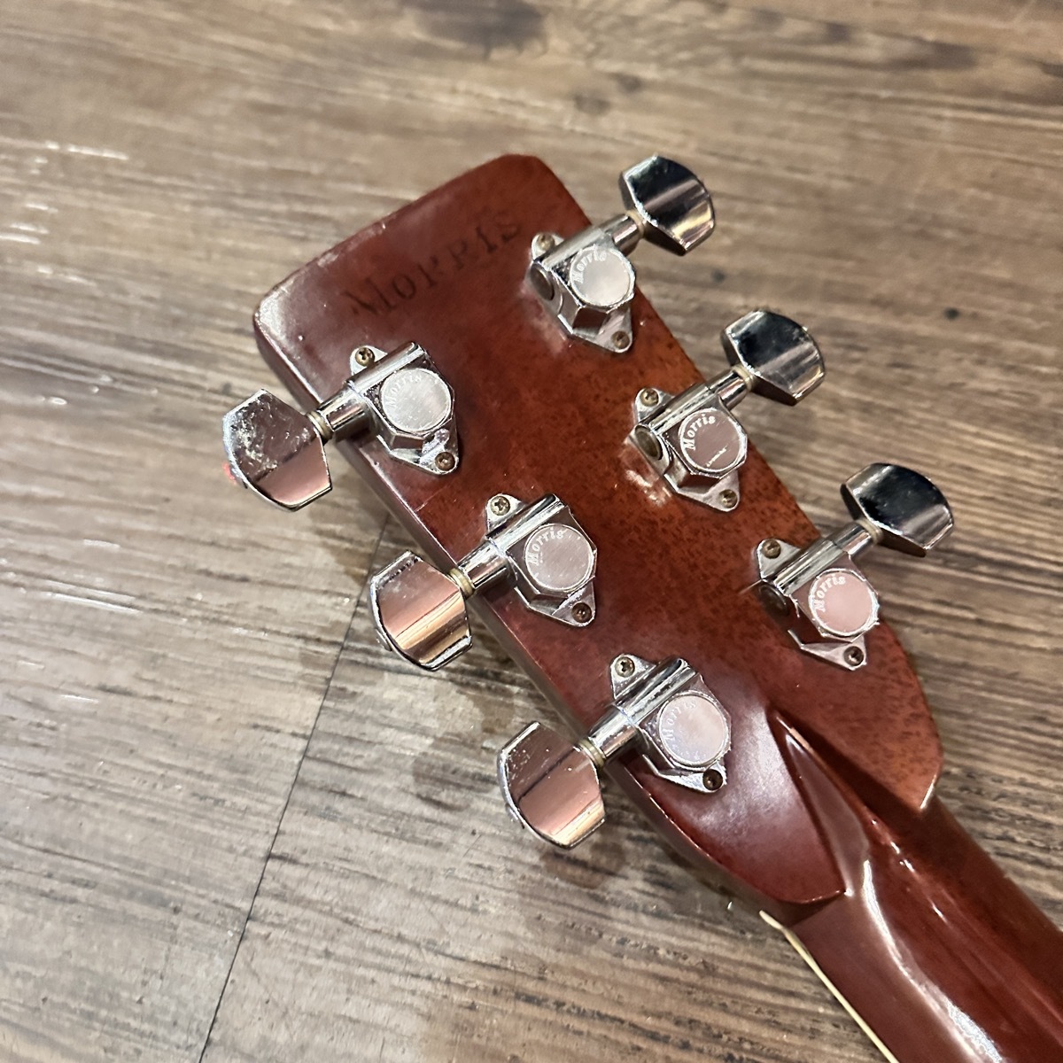 Morris W-50 TF Acoustic Guitar Made in Japan（中古/送料無料