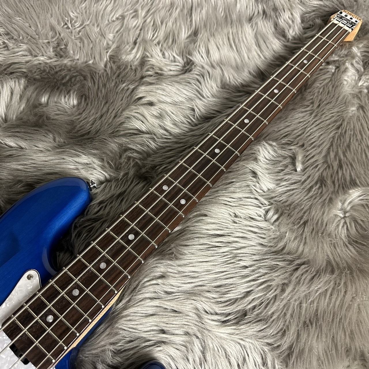 SCHECTER OL-NV-HL - DBL(Deep Blue)【限定モデル】【現物画像】【最大