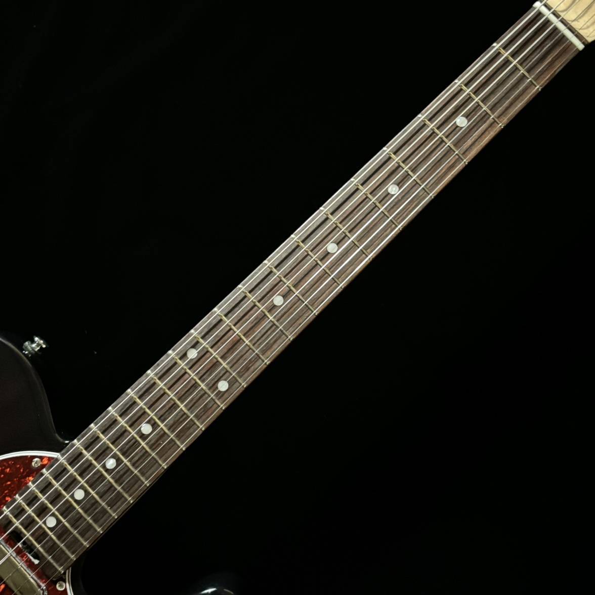 SCHECTER 《現物画像 / 迅速発送！》OL-PT-TH See Thru Black