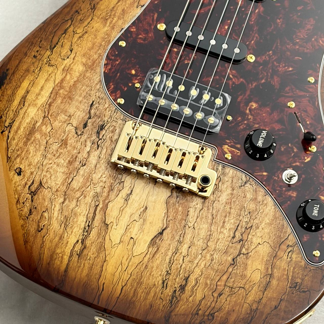ギター Fujigen EOS FUJIGEN(FGN) Expert Series EOS2-EW1-RM ~Hojicha Burst~ #J250128