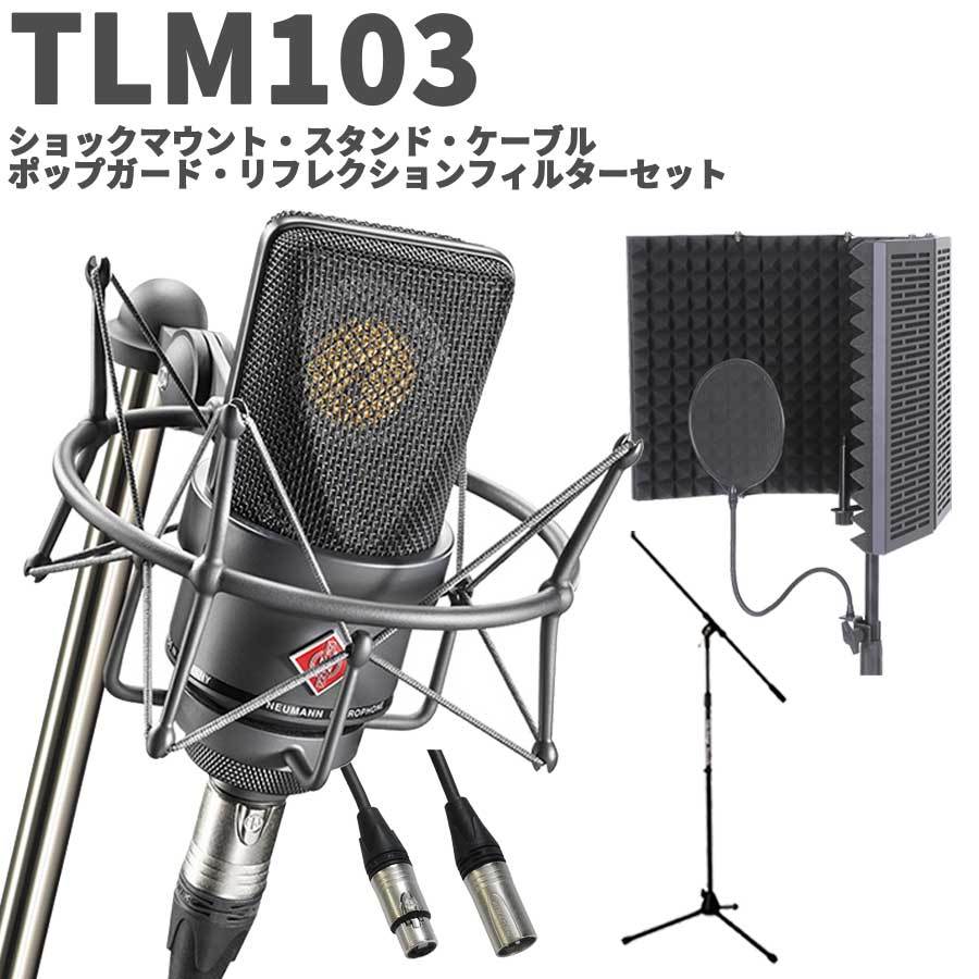 ノイマンTLM 録音セット - コンデンサーマイク