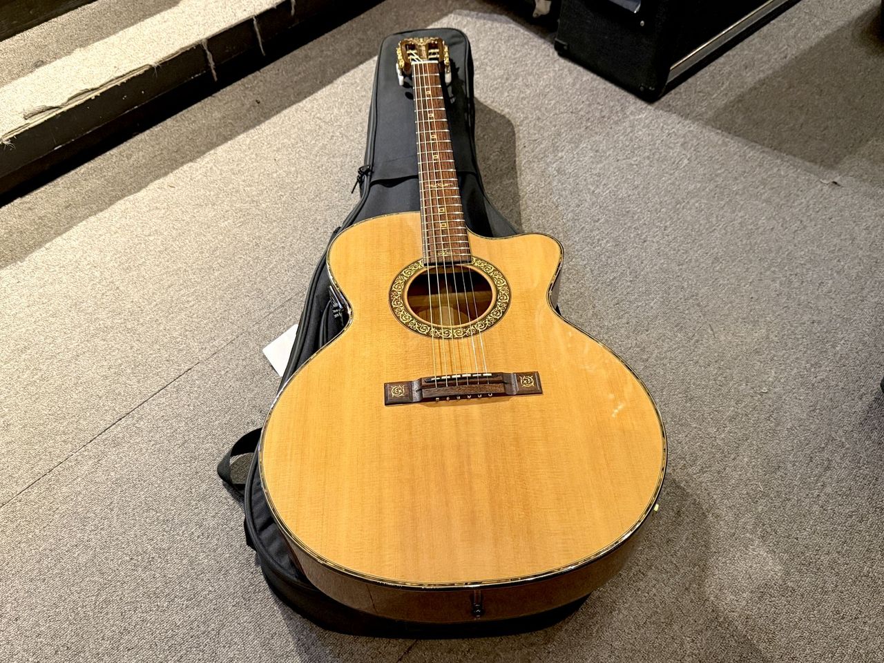ARIA The Sandpiper SPD-120CE（中古）【楽器検索デジマート】