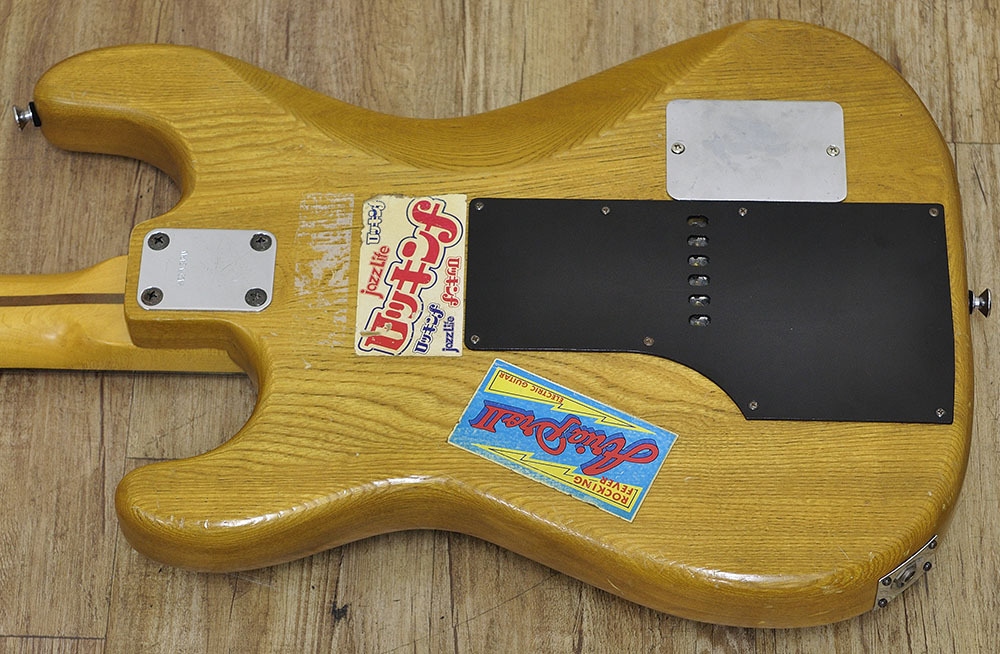 フレッシャー エフェクター内蔵ギターFFD-100 | ファイヤー