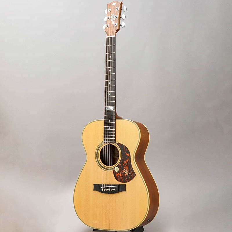 MATON EBG808 TE #29595 メイトン（新品）【楽器検索デジマート】