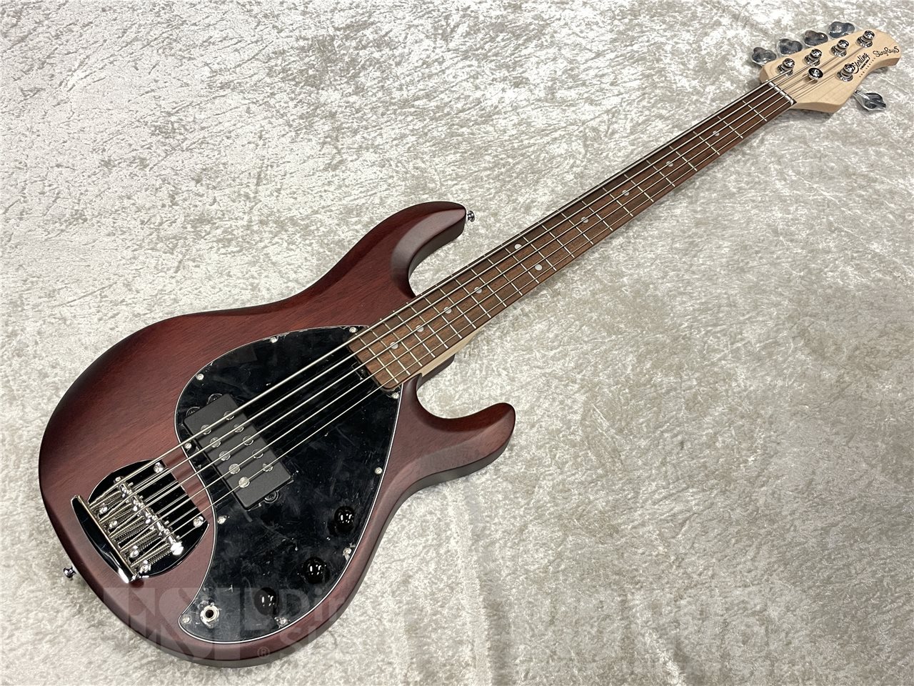 Strinberg スティングレイタイプ 5弦 アクティブ ベース StingRay 5 | Basses | Ernie Ball Music Man