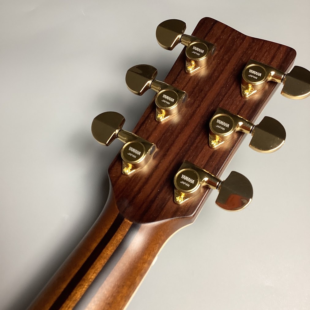 YAMAHA LL36 ARE 【現物画像】（新品/送料無料）【楽器検索デジマート】