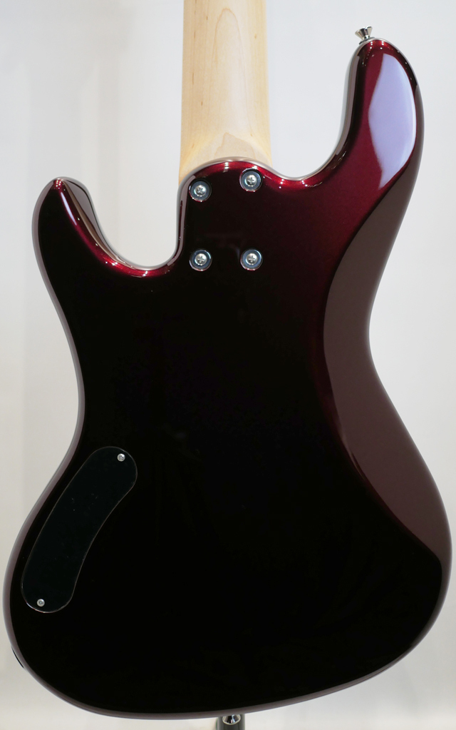 FREEDOM CUSTOM GUITAR RESEARCH C.S. Anthra-5st / Vampire（新品