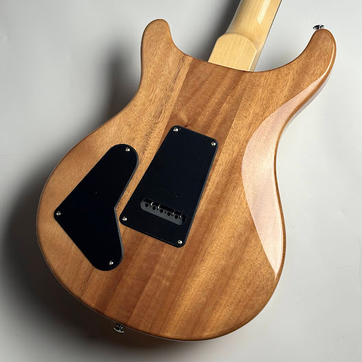 【木目◎】prs se custom 22 semi-hollow P.R.S. SE Custom 22 Semi-Hollow (Black Gold Burst) ｜イケベ楽器店