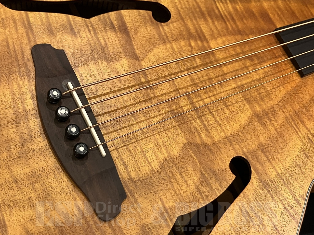 ARIA FEB-F2/FL（新品/送料無料）【楽器検索デジマート】