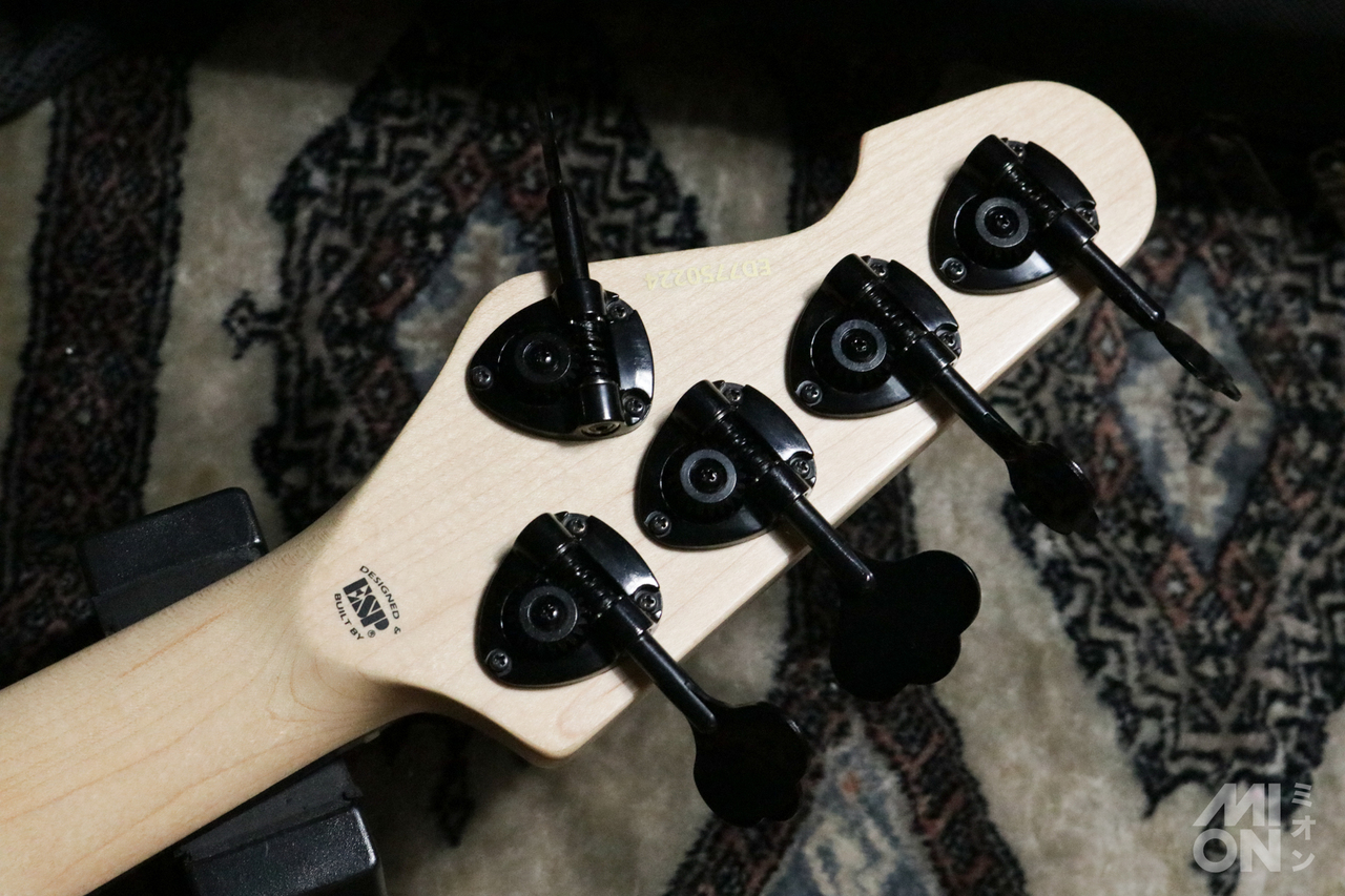 EDWARDS Platinum E-AMAZE-5-190 IKUO Signature Model（中古）【楽器