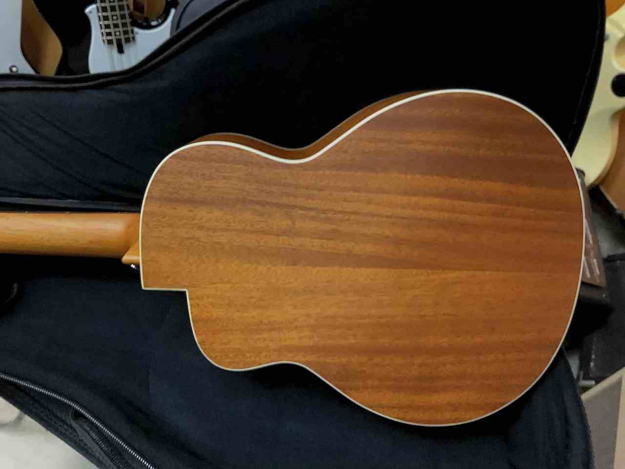 aNueNue aNN-M2 アヌエヌエ M2 ミニギター マイク搭載（新品特価