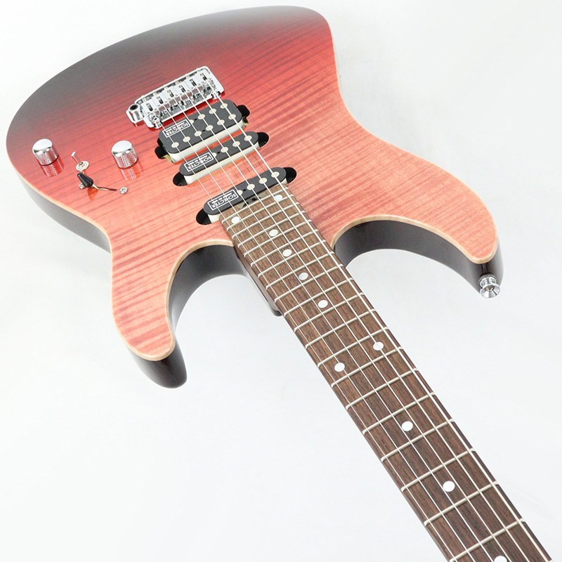 SCHECTER EX-Ⅳ SCHECTER EX-4B-24-CTM-VTR-FM/RN (RSBF/MH) 【IKEBE Original