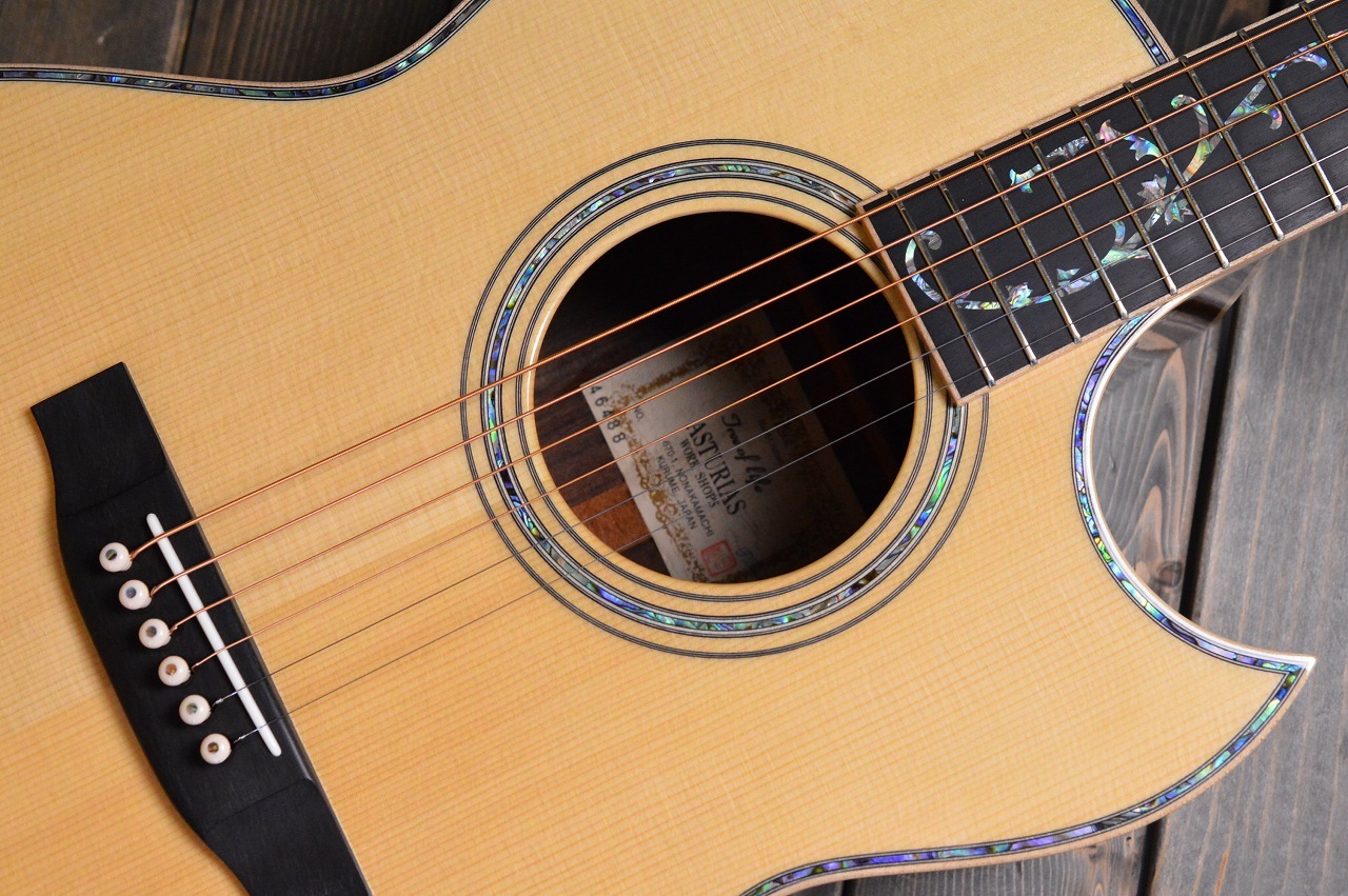 ASTURIAS TREE OF LIFE（新品特価/送料無料）【楽器検索デジマート】