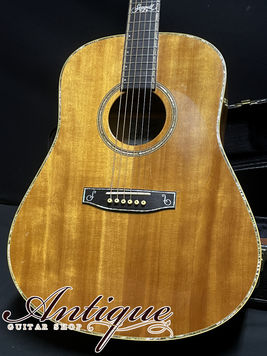 Seagull(Canada) Custom Shop Special Custom Order Model 1996