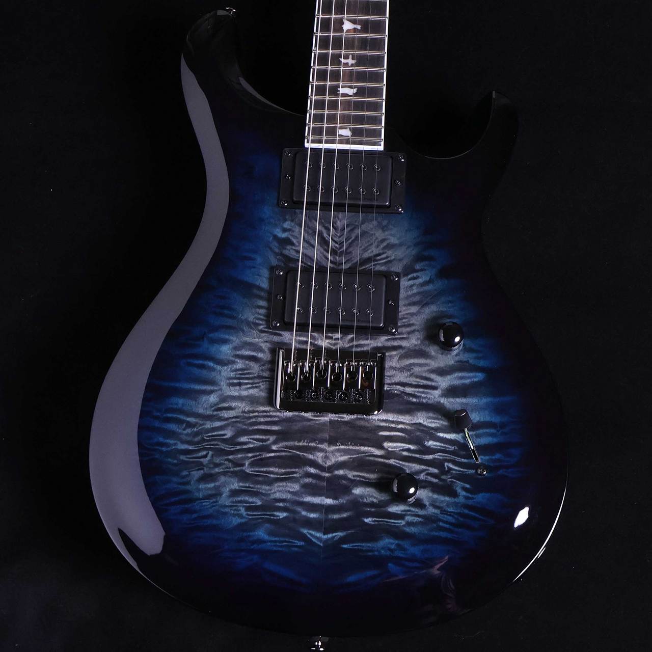 PRS SE Mark Holcomb 6弦仕様 PRS SE Mark Holcomb SVN Electric Guitar Holcomb Blue Burst