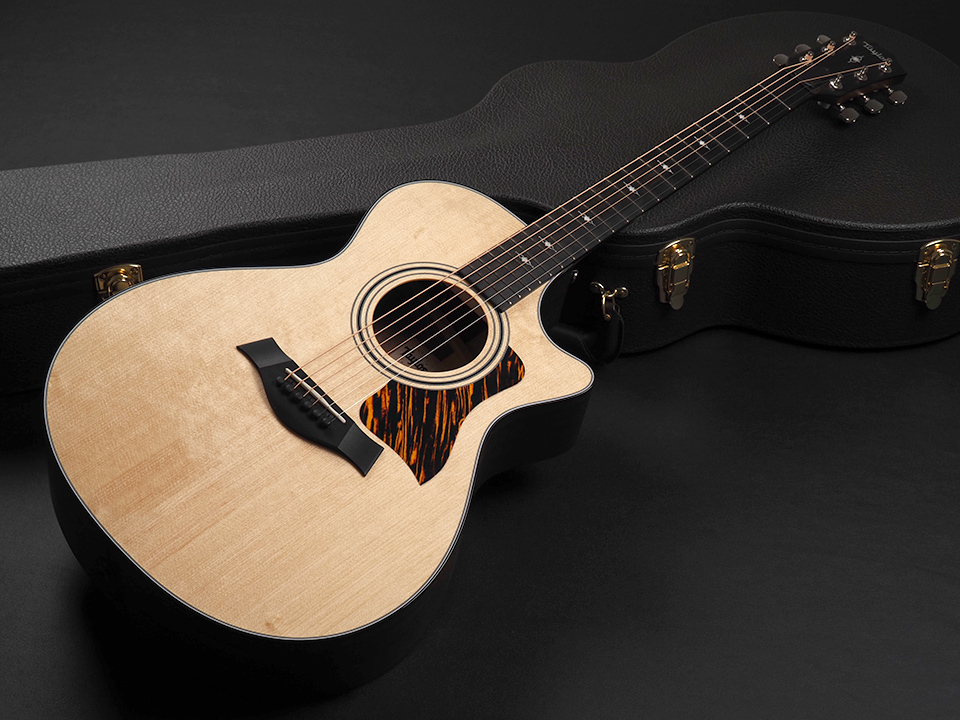 Taylor 312ce V-Class（新品/送料無料）【楽器検索デジマート】