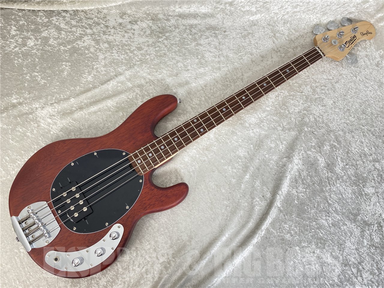 Sterling by MUSIC MAN S.U.B RAY4 (Walnut Satin)（新品/送料無料