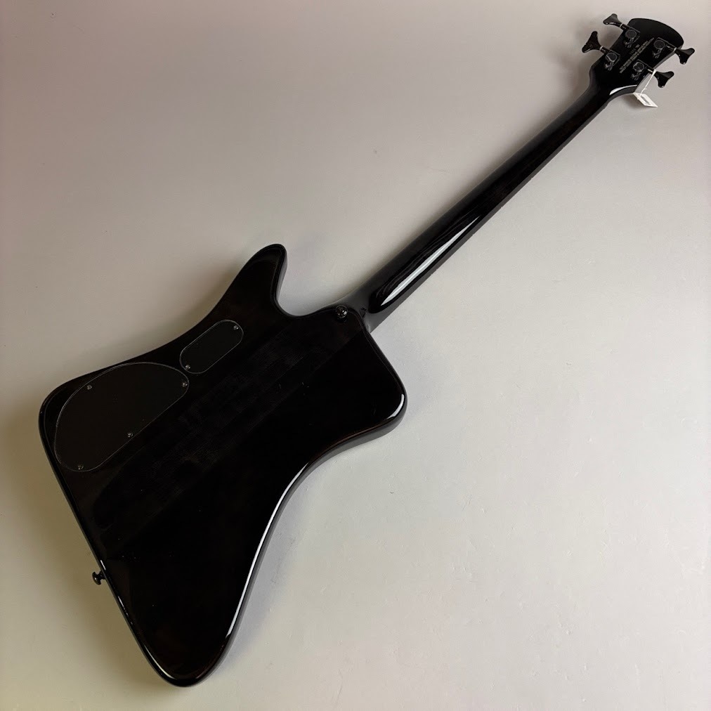 送料無料ベース スペクター　spector REX4 bass セミハードケース 送料無料ベース スペクター spector REX4 bass セミハードケース